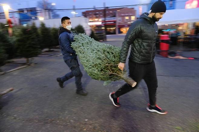 9일 미국 뉴욕에서 소비자가 구매한 크리스마스 트리를 옮기고 있다. 크리스마스 트리는 보통 12년을 키우는데, 판매상들은 2008년 금융위기 때 나무를 적게 심어 가격이 올랐다고 말하고 있다. 뉴욕/AFP 연합뉴스