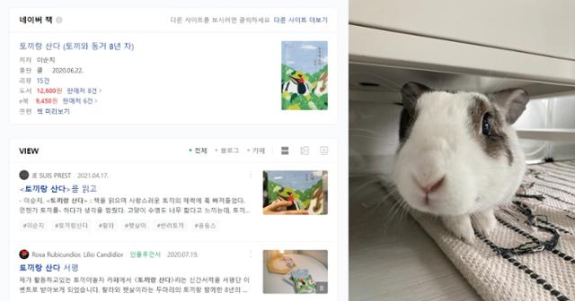 도서 '토끼랑 산다' 포털 사이트 검색 결과. 이순지 기자