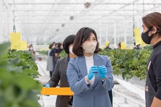 이재명 민주당 후보 부인 김혜경 씨가 9일 경북 상주 한 스마트팜을 찾아 대화하고 있다. 민주당 선대위