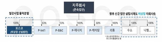 물적분할 시 포스코 지배구조. 포스코