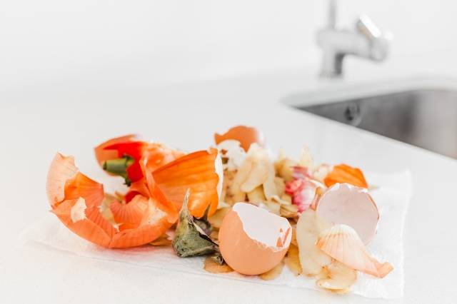 게티이미지뱅크