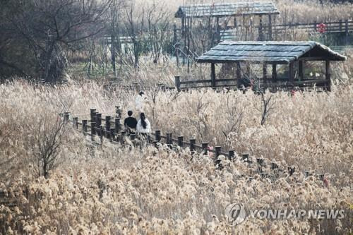 공원 산책 [연합뉴스 자료사진]