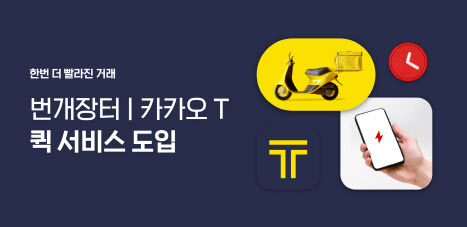 (사진=번개장터)
