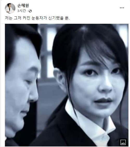 사진=손혜원 전 더불어민주당 의원 페이스북 캡쳐