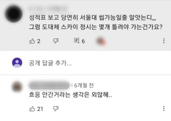 ⓒ유튜버 A씨 댓글