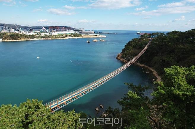 대왕암공원 출렁다리