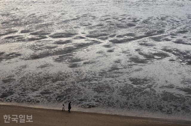장항송림 스카이워크 아래 해변에서 부자가 즐거운 한때를 보내고 있다. 물 빠진 회색 갯벌이 추상화처럼 보인다.