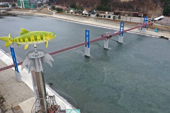 한국을 대표하는 축제인 화천 산천어축제를 올겨울에도 즐길 수 없게 됐다. 연합뉴스