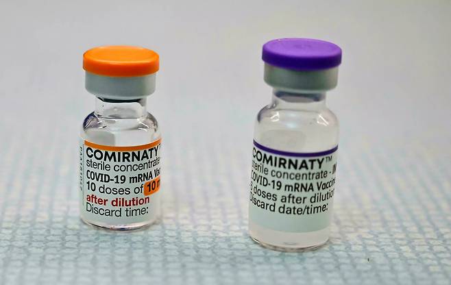 아동용(주황색)과 성인용(보라색)을 뚜껑 색깔로 구분한 화이자 백신의 모습.(사진=AFP 연합뉴스)