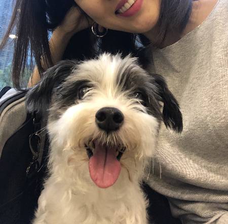 활짝 웃고 있는 바우야, 누나 맘 알지? 아프지 말고 오래오래 행복하기를./사진=독자님 제공.