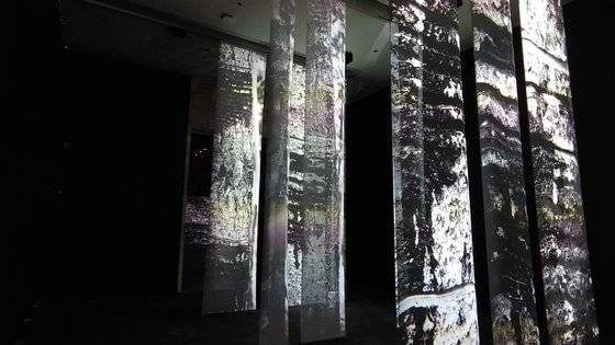 국립중앙박물관 '칠, 아시아를 칠하다' 전시장 입구는 옻나무 군락을 지나는 듯한 느낌을 냈다. 김정연 기자