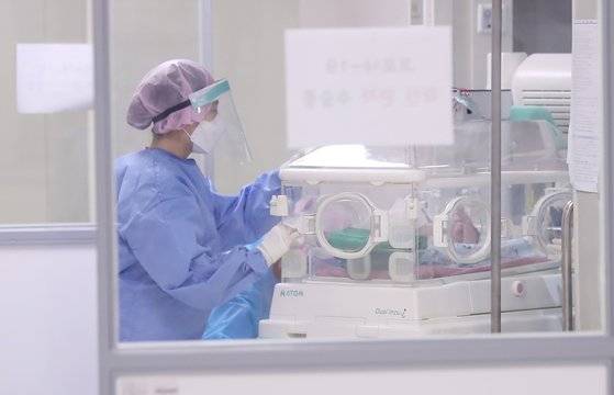 지난 8월 13일 코로나19 거점 전담병원인 경기도 고양시 국민건강보험 일산병원에서 코로나 확진 환자 제왕절개 수술이 끝난 뒤 간호사가 신생아를 인큐베이터를 이용해 음압격리병실로 옮기고 있다. 연합뉴스