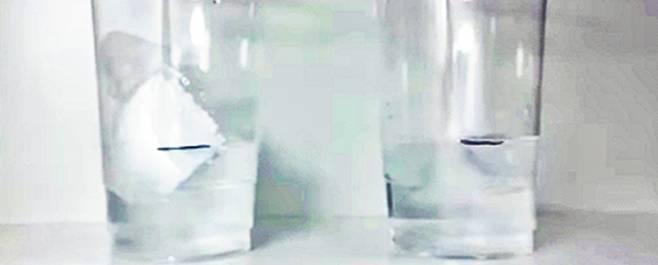 얼음을 스티로폼 조각 위에 얹은 물컵과 그냥 넣은 물컵.  김시우, 이채원 학생팀 실험 동영상 갈무리