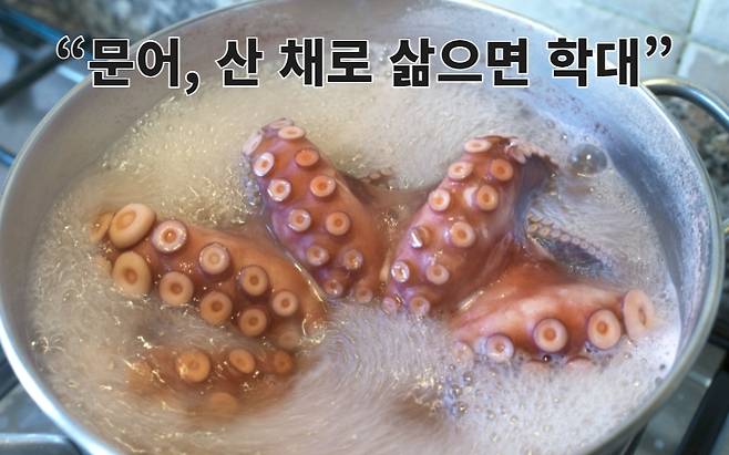 문어를 냄비에 삶는 모습. [123rf]