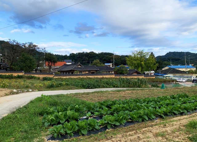 옛 청원군 부용면, 현 세종시 부강면