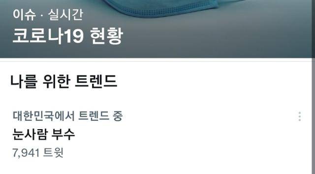 눈사람 부수는 행위와 눈사람에 돌을 넣는 대처법에 대해 갑론을박이 이어지며 "눈사람 부수"가 트위터 실시간 트렌드에 오르기도 했다. 트위터 캡처