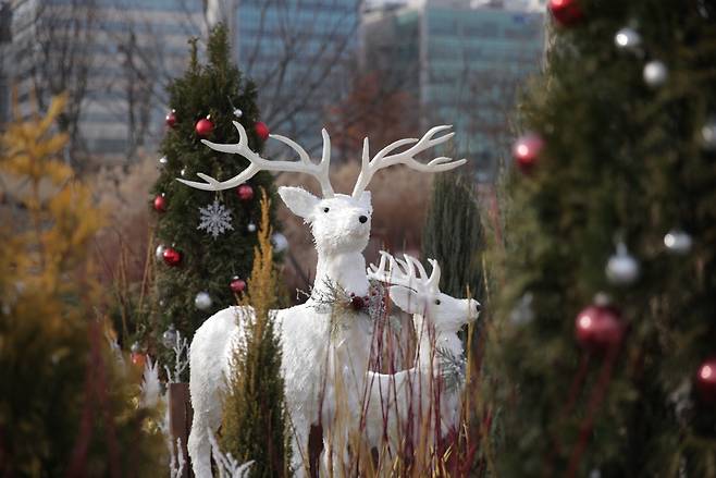 서울식물원이 연말을 맞아 ‘크리스마스 만찬’을 주제로 한 겨울 전시를 선보이고 있다.서울시 제공