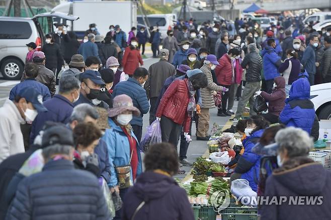 원주 명물 '농업인 새벽시장' 개장 [연합뉴스 자료사진]