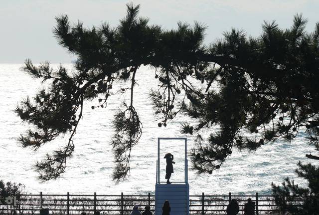 가덕도 오션블루가덕휴게소의 '하늘계단' 포토존. 가덕휴게소는 3면이 바다로 둘러싸여 있다.