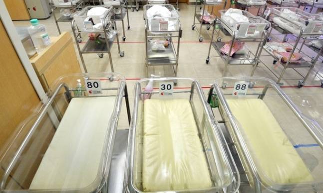 세계일보 자료사진