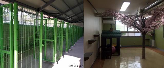 2019년 H회사가 게시한 개(왼쪽), 고양이(오른쪽) 생활사 개선사업 결과. H회사 홈페이지 캡처