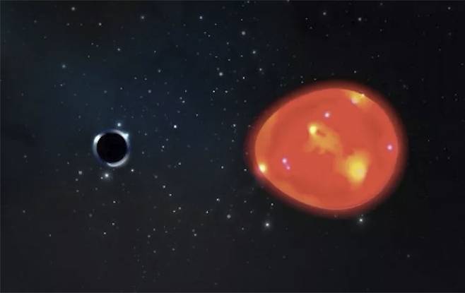 지구에서 가장 가까운 유니콘 블랙홀 상상도. 동반성 물질을 잡아당기고 있다. Ohio State illustration by Lauren Fanfer