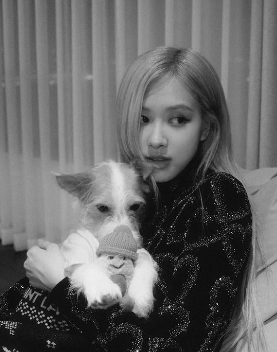 Rosé from group BLACKPINK shared his daily routine with his pet dog.On the afternoon of the 4th, Rosé posted a picture on his instagram without any words.In the photo, Rosé took a picture with a dog in his arms, and his face was staring at the camera, revealing his affection for the puppy.Especially in black and white photographs, the brilliant doll visuals attracted peoples admiration.Meanwhile, Rosé released his first Solo single R in March last year and acted as the title song On The Ground (On the Ground).