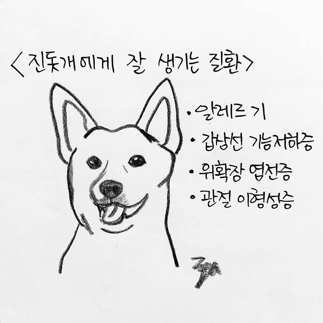 해피펫툰 진돗개 © 뉴스1