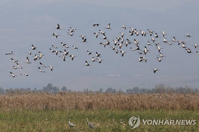 [EPA=연합뉴스 자료사진. 재판매 및 DB 금지]