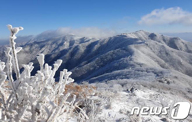 겨울 소백산 자료사진.(소백산국립공원 북부사무소 제공).(사진은 기사 내용과 무관함) / 뉴스1 © News1