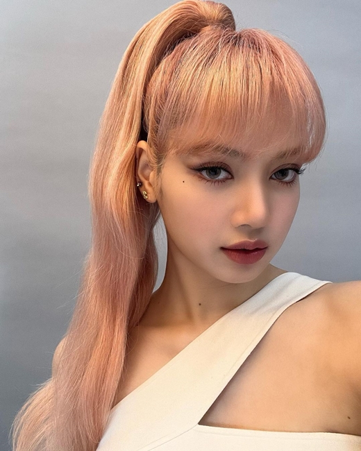 Girl group BLACKPINK Lisa reported on the latest situation.Lisa posted two photos on her Instagram page on Saturday.In the public photos, Lisa is showing a provocative gaze toward the camera.Lisa, who made her debut with BLACKPINK in 2016, released her first solo album LALISA last October and performed solo activities.
