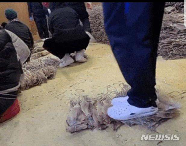 [대구=뉴시스] 이지연 기자 = 동영상 플랫폼 틱톡 영상 갈무리. 2022.01.08. photo@newsis.com