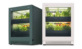 식물재배기 LG 틔운. /사진제공=LG전자