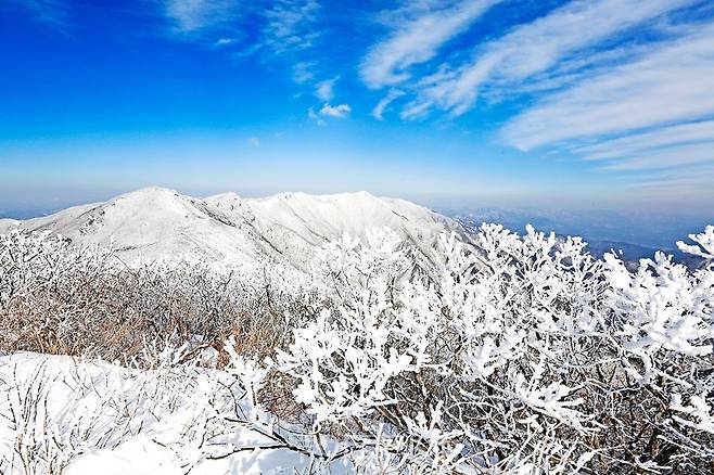 경북 언택트 관광지 23선 중&nbsp; 영주 소백산
