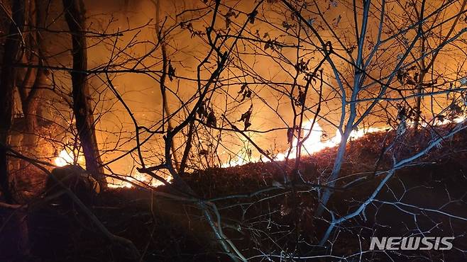 [이천=뉴시스] 경기 이천시 설봉산 불. 2022.1.10. (사진=이천시 제공)