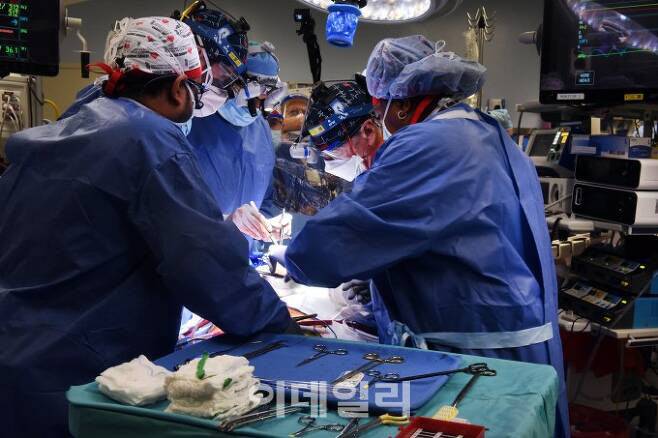 미국 메릴랜드대 연구진이 면역거부반응 유전자를 교정한 형질전환돼지의 심장을 사람에게 이식하는 첫 수술을 진행하고 있다(제공=University of Maryland)