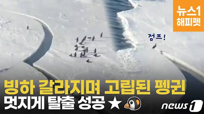 © News1 엄예진 인턴기자