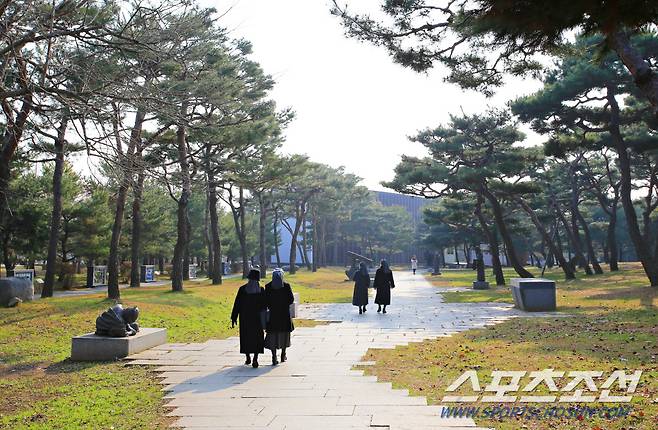 솔뫼성지의 소나무 숲길. 사진제공=한국관광공사