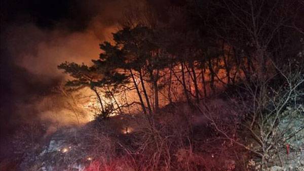 경북 안동 자암산 산불 발생 [산림청 제공]