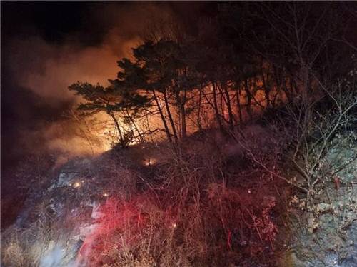 경북 안동시 남후면 광음리 자암산에서 12일 오후 8시47분쯤 불이 나 관계당국이 진화 중이다. 산림청 제공=연합뉴스.