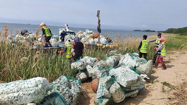 낙동강 하구 쓰레기 정화사업하는 강서구 [부산 강서구 제공. 재판매 및 DB금지]