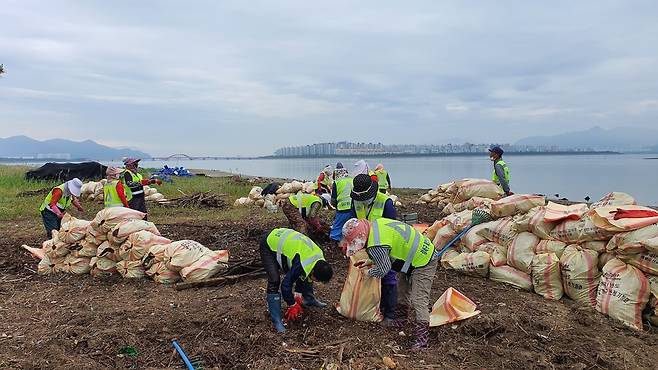 낙동강 하구 쓰레기 정화사업하는 강서구 [부산 강서구 제공. 재판매 및 DB금지]