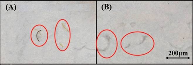 건조기에서 나온 극세사. 왼쪽이 폴리에스터, 오른쪽이 면 극세사다. Environmental Science & Technology Letters