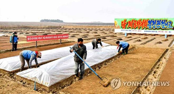 볍씨 파종하는 북한 농민들 (서울=연합뉴스) 북한의 대표적 쌀 생산지인 황해남도 농촌들에서 볍씨 파종작업이 일제히 시작됐다고 지난해 3월 22일 노동당 기관지 노동신문이 전했다.[노동신문 홈페이지 캡처. 재판매 및 DB금지]