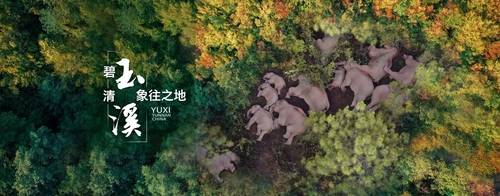 중국 윈난성 위시