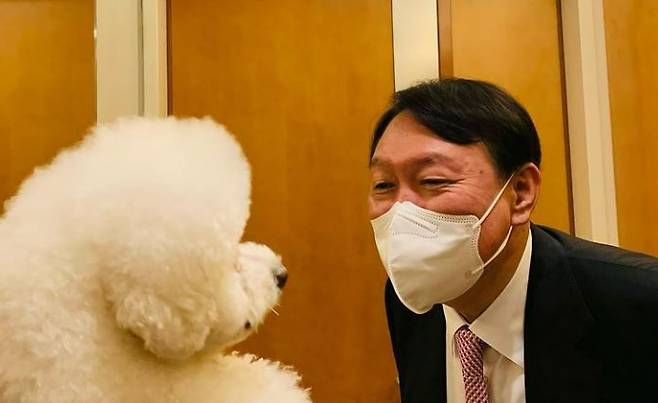 윤석열 전 검찰총장과 반려견/윤 전 총장 반려견 인스타그램 계정