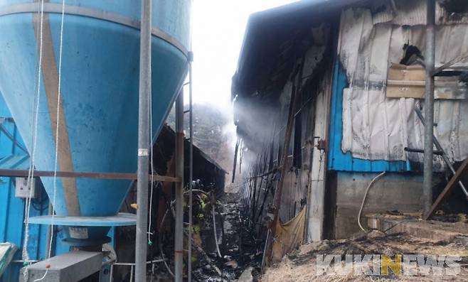 철원돼지 농장 화재(사진=강원도소방본부 제공)