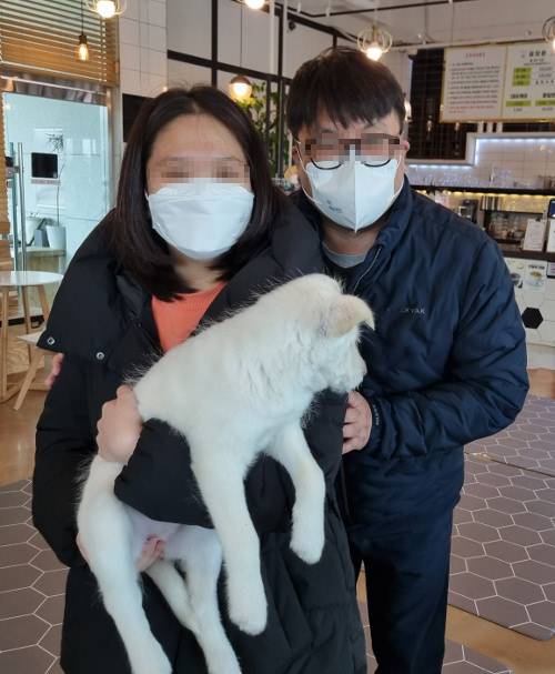 펫카페에서 임시보호 중이던 유기견을 입양하는 모습. 홍성군 제공