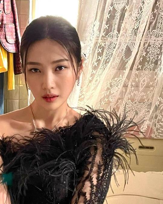 Group Red Velvet Joy showed off her elegant figure in a deep-tweeted dress.Joy posted several photos on her Instagram page on Wednesday, calling it mido.In the photo, Joy looked at the camera with his fascinating eyes in a dress with black feathers.Revealing his slender shoulders and deep clavicle lines, he showed off his sexy legs in a tresses-up dress.Meanwhile, Joy is currently appearing in the JTBC drama One Man as Sungmido.He admitted to his devotion to singer Crush last year.
