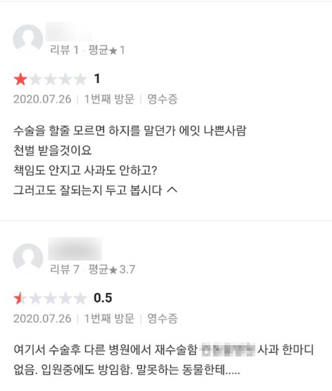 2020년 7월 A동물병원 업체 방문 리뷰 서비스에 피해 사실을 올렸지만 게시 중단된 글 일부. 독자 제공